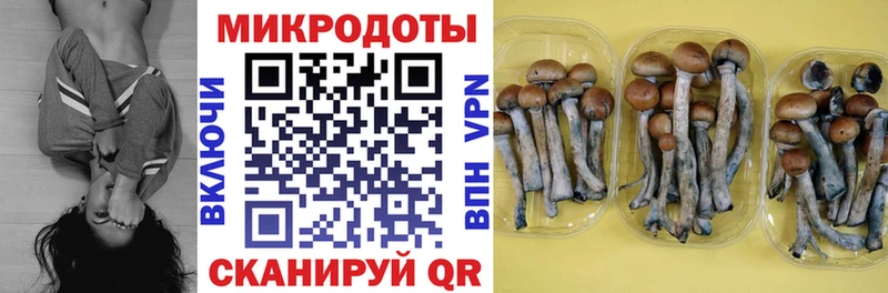 Псилоцибиновые грибы Magic Shrooms  Новоульяновск 